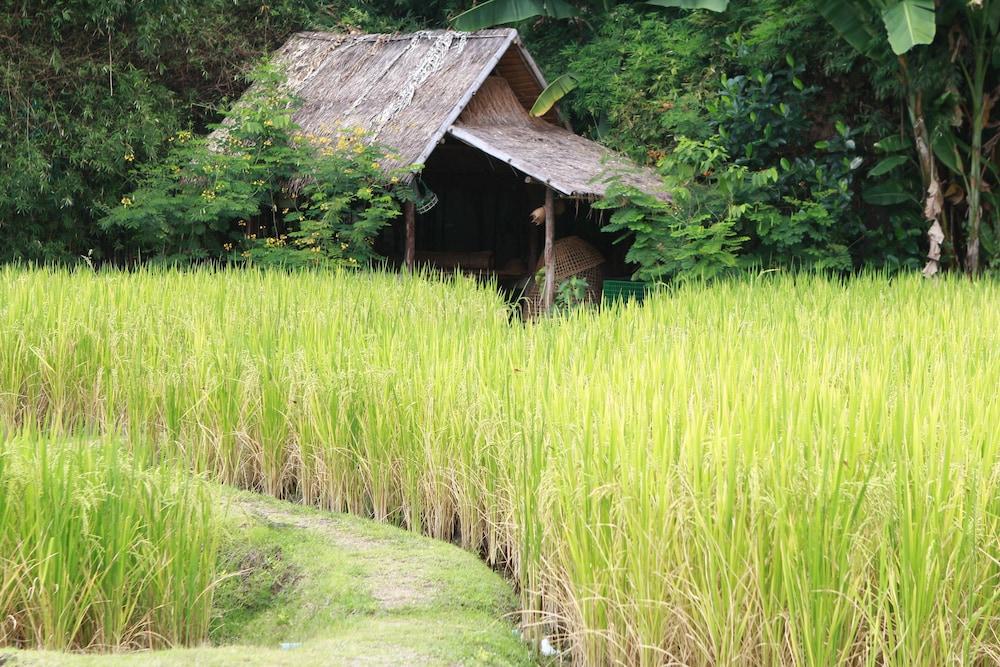Chompor Lanna Hotel Chiang Mai Exterior foto